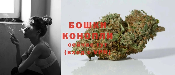 метадон Гусь-Хрустальный