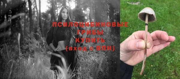 крисы Гусиноозёрск