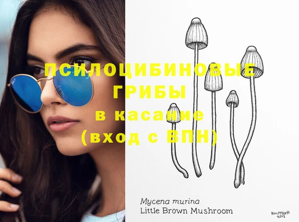mdpv Горняк