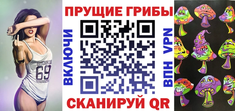 Псилоцибиновые грибы GOLDEN TEACHER  где купить наркотик  Железноводск 